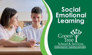 Social Emotional Learning in School and at Home