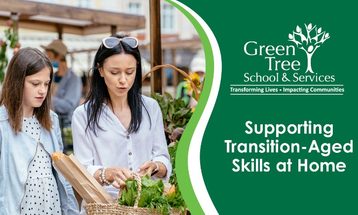 Supporting Transition-Aged Skills at Home