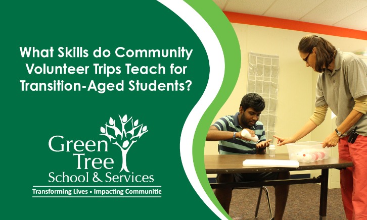 What Skills do Community Volunteer Trips Teach for Transition-Aged Students?